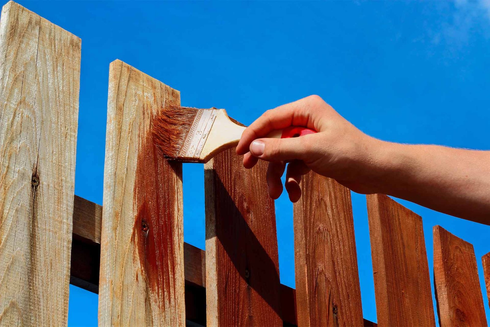 Fence Painting services
