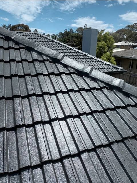 Roof Painting Cost